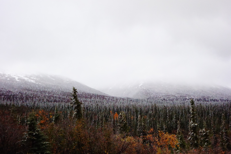 Illustration for article titled Alaska Adventure - Denali Edition